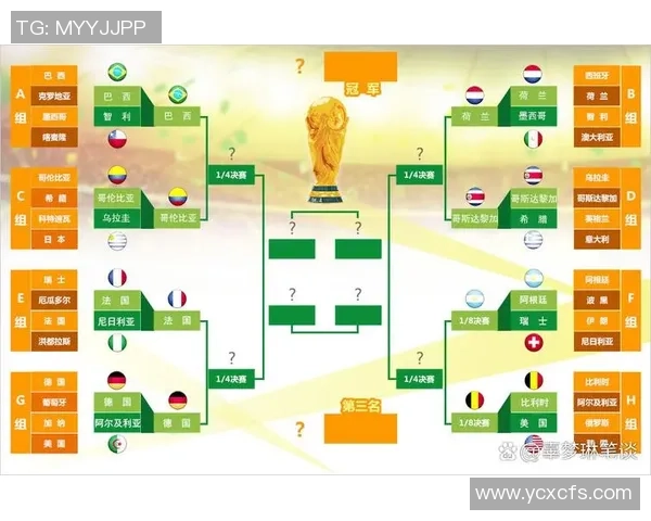 巴西足球历届世界杯球星参与情况及其影响力分析